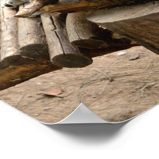 Poster Chats Lynx (Coin)