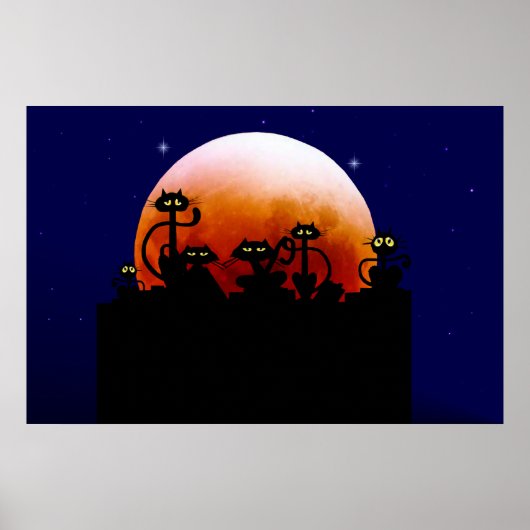 Poster Chats noirs sur une clôture (Devant)