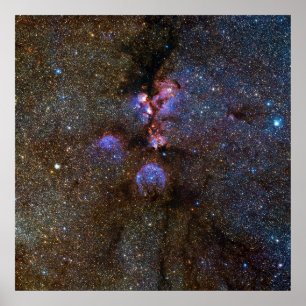 Poster Chats Paw Nebula à Scorpius - photo de l'espace