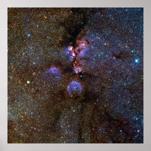 Poster Chats Paw Nebula à Scorpius - photo de l'espace (Devant)