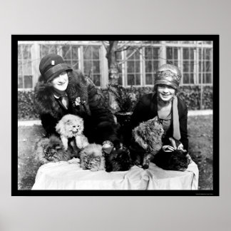 Poster Chats perses et Dames américaines 1924