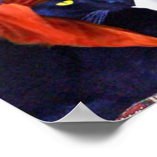 POSTER CHATS PIRATES (Coin)