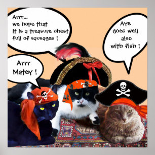 POSTER CHATS PIRATES