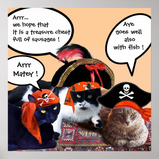 POSTER CHATS PIRATES (Devant)