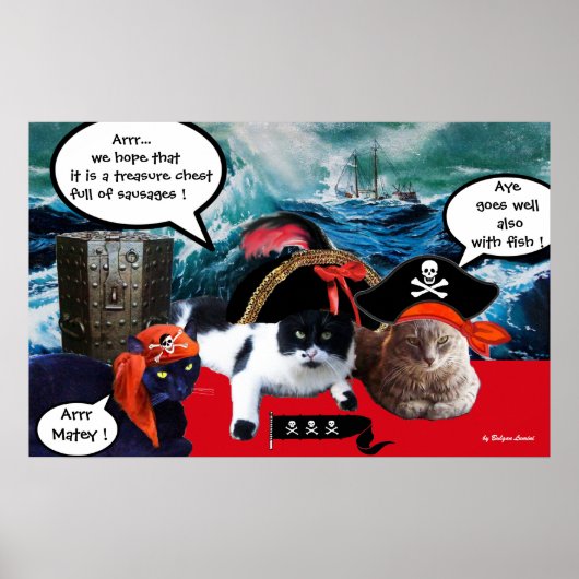 POSTER CHATS PIRATES QUI PARLENT ET BATEAU DANS LA TEMPÊT (Devant)