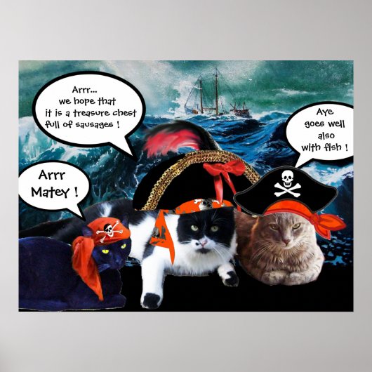 POSTER CHATS PIRATES QUI PARLENT ET NAVIRE DANS LA TEMPÊT (Devant)