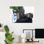 Poster Chats posés dans un bananier (Bureau à domicile)