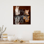 Poster Chats Réflexion Eau, Drôle Chats Idée Cadeau (Cuisine)