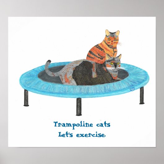 Poster Chats sur mini trampoline, Affichons l'exercice (Devant)