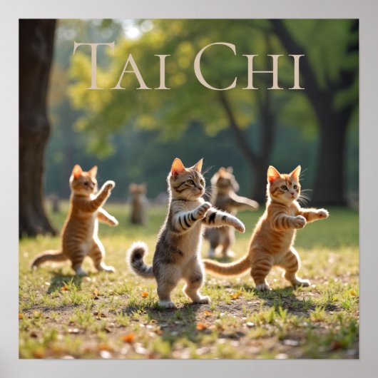 Poster Chats Tai Chi (Devant)