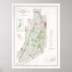 Poster Chattahoochee National Forest Map (1982)