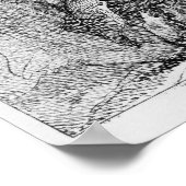 Poster Chatte, illustration (Coin)