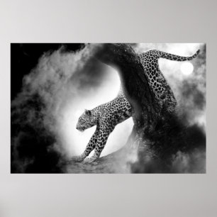 Poster chatte sauvage cheetah sur l'affiche de chasse