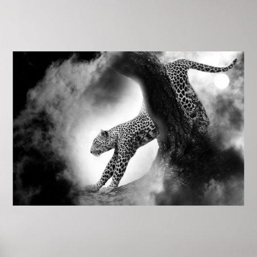 Poster chatte sauvage cheetah sur l'affiche de chasse (Devant)