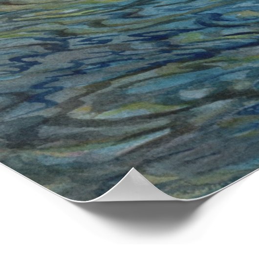 Poster Chattooga (Coin)