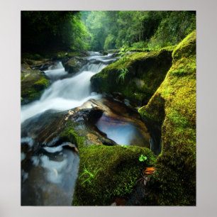 Poster: Chattooga Waterfall Poster