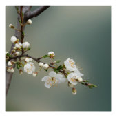 Poster chaud (Devant)