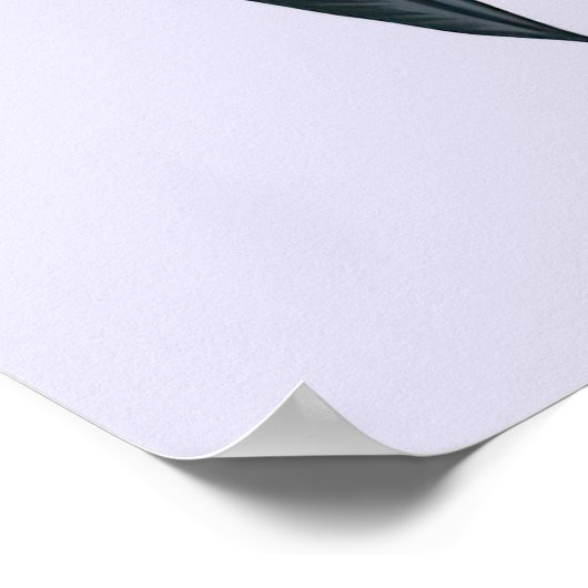 Poster Chauffage de chauve-souris (Coin)