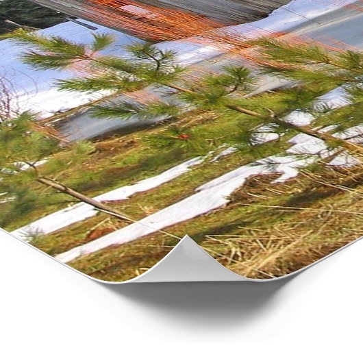 Poster Chaussure (Coin)