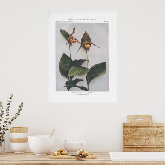 Poster Chaussure-dame jaune ou dot (Cuisine)