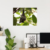 Poster Chauve-souris à fruits enveloppée (Bureau à domicile)