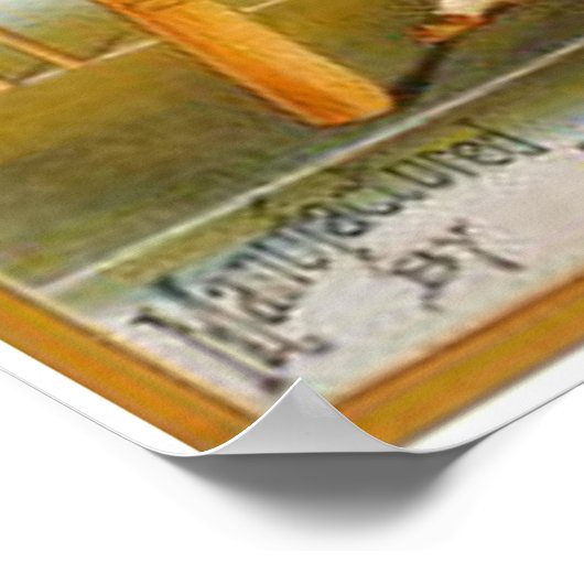 Poster Chauve-souris de cricket (Coin)