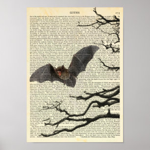 Poster Chauve-vampire, Gothique, Dracula, Chauve-souris, 
