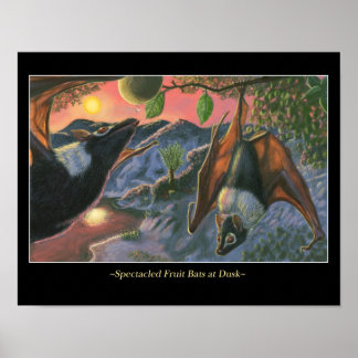 Poster Chauves-souris à fruits à Dusk