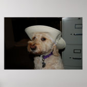 Poster chaz6 (Devant)