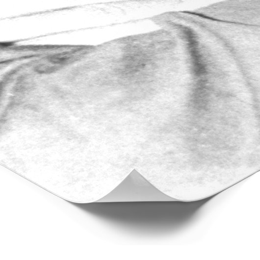 Poster Che Guevara (Coin)