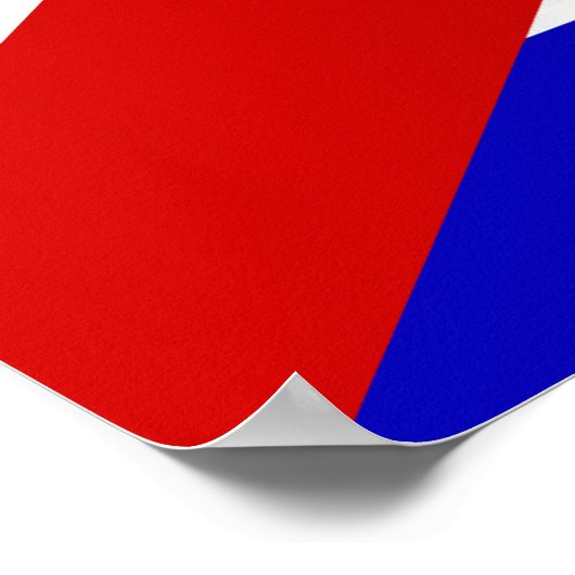 Poster Che Guevara Smile (Coin)