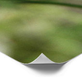 Poster Checkerspot argenté (Coin)