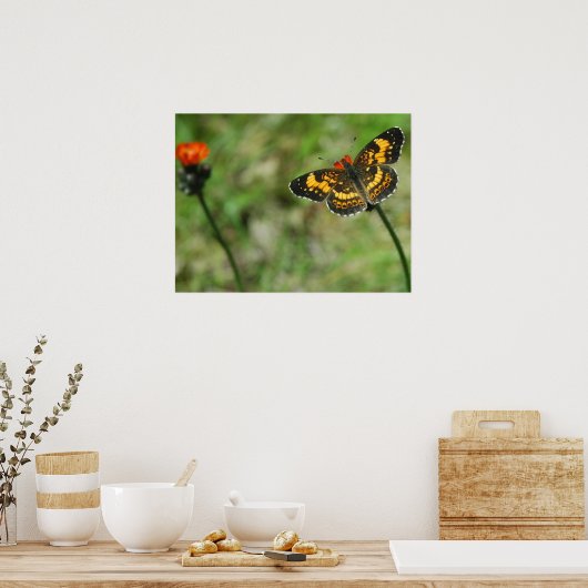 Poster Checkerspot argenté (Cuisine)