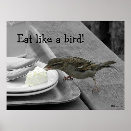 Poster Cheek Sparrow (Devant)