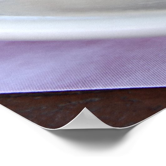 Poster Cheesecake (Coin)