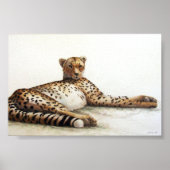Poster Cheetah (Devant)