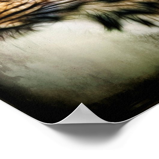 Poster Cheetah (Coin)