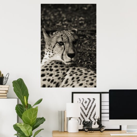 Poster Cheetah (Bureau à domicile)