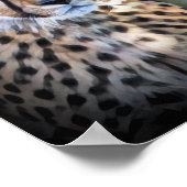 Poster Cheetah (Coin)