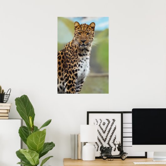 Poster Cheetah (Bureau à domicile)