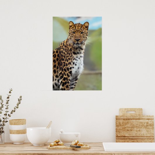 Poster Cheetah (Cuisine)