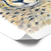 Poster Cheetah (Coin)