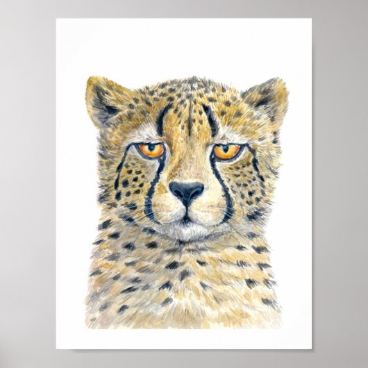 Poster Cheetah (Devant)