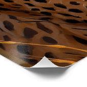 Poster Cheetah africain au coucher du soleil (Coin)