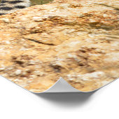 Poster Cheetah africain sur le rock (Coin)