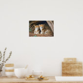 Poster Cheetah Animal Nature Faune Affection Soin (Cuisine)