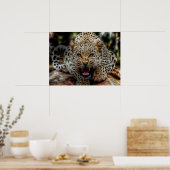 Poster Cheetah aux yeux bleus (Cuisine)