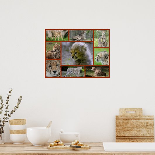 Poster Cheetah-Collage 001 (Cuisine)