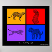 Poster Cheetah coloré (Devant)