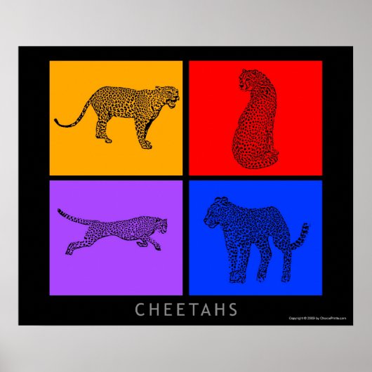 Poster Cheetah coloré (Devant)